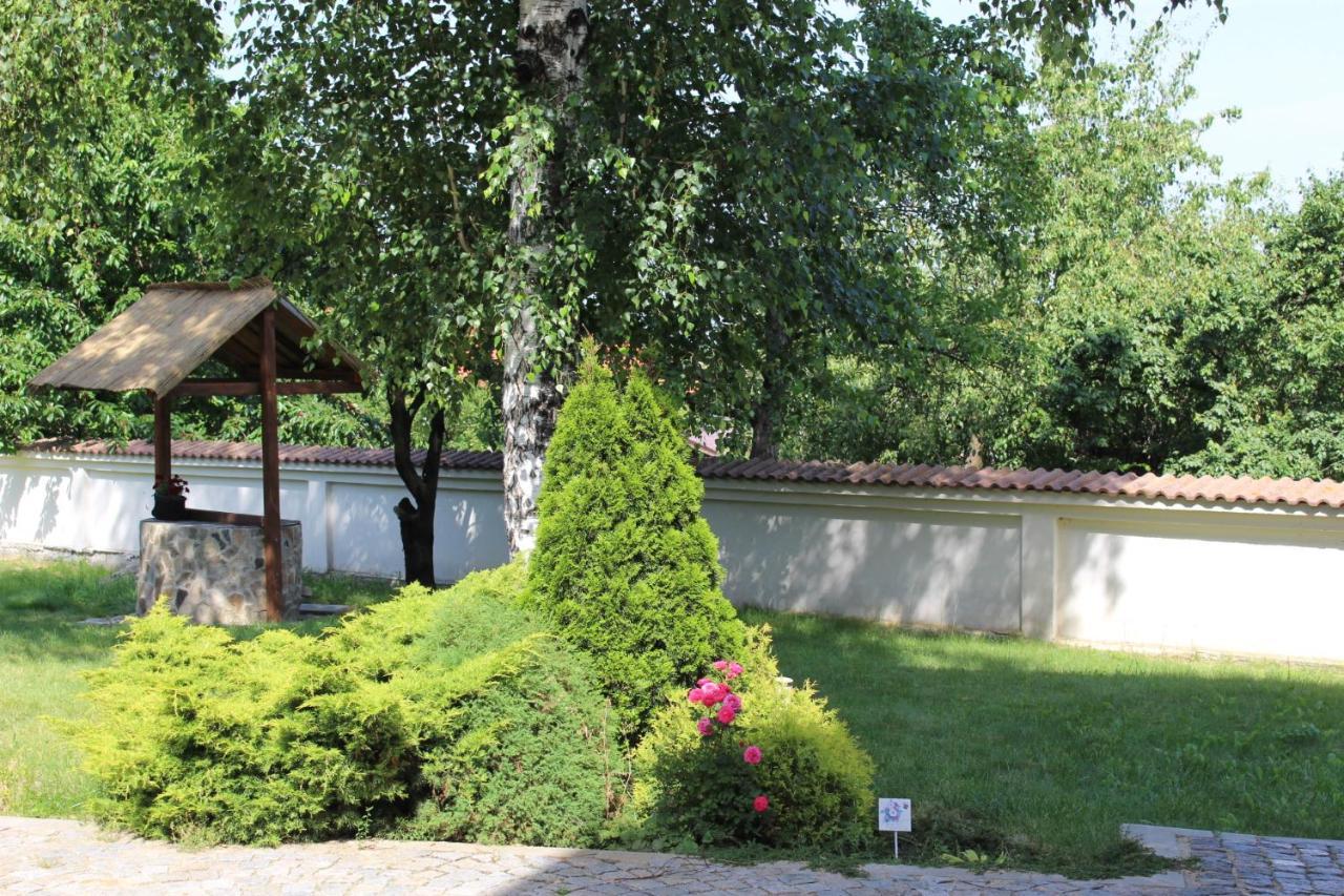 Hotel Radi Sapareva Banya Exterior foto